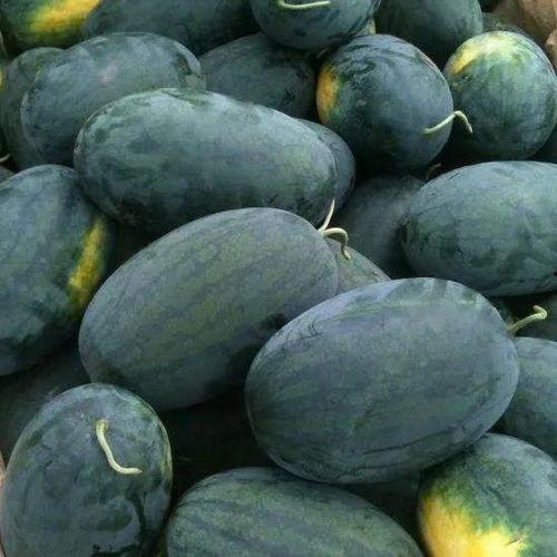 黑料吃瓜总站有病毒吗,警惕！黑料吃瓜总站病毒风险揭秘